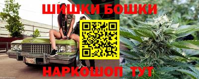 шишки Аргун