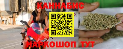 шишки Аргун