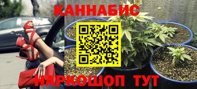 шишки Аргун