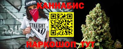 шишки Аргун