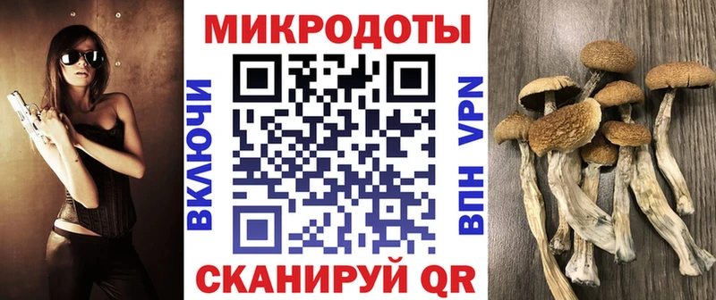 Галлюциногенные грибы мухоморы  Егорьевск 
