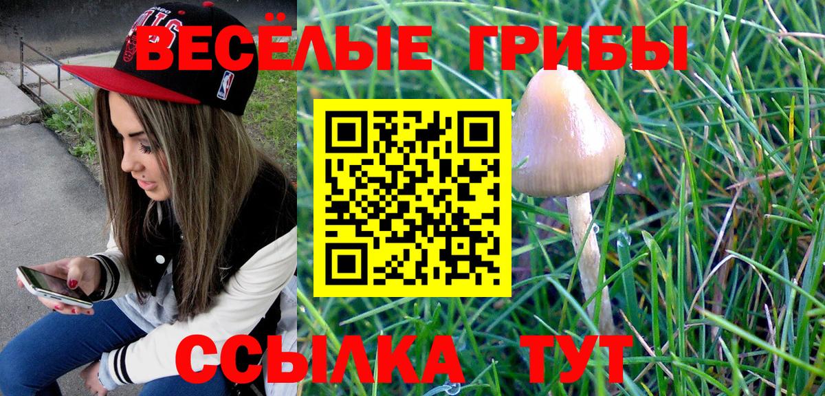 Галлюциногенные грибы ЛСД  Псилоцибиновые грибы прущие грибы  Вход с VPN  Егорьевск 